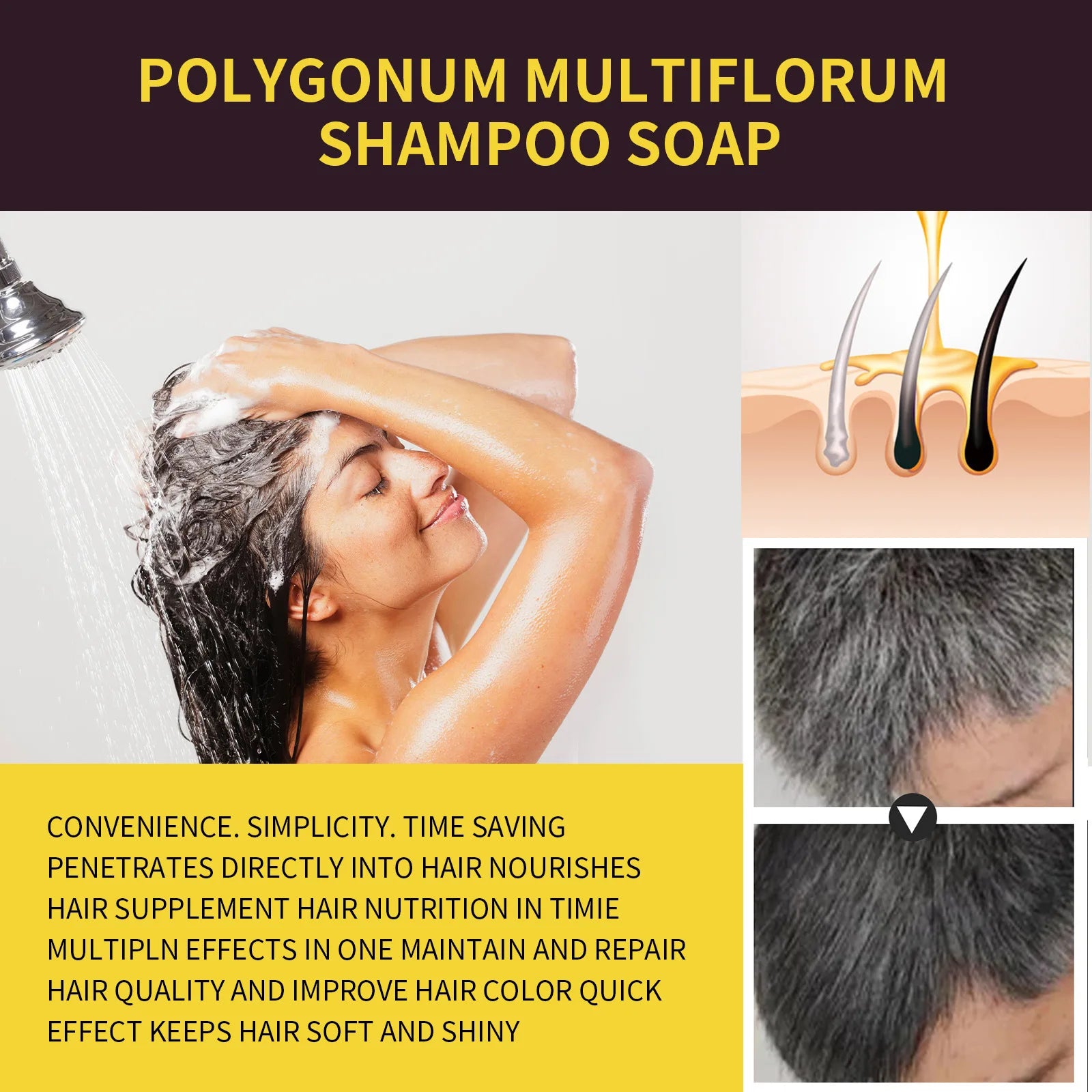 Shampoing 3 en 1 pour teinture capillaire, 100ml/500ml, assombrissant instantané, gris à noir, Polygonum Multiflorum, couverture naturelle pour hommes et femmes