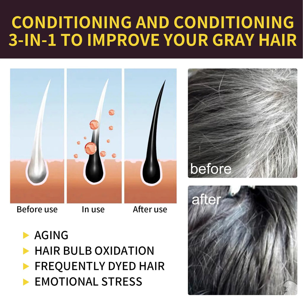 Shampoing 3 en 1 pour teinture capillaire, 100ml/500ml, assombrissant instantané, gris à noir, Polygonum Multiflorum, couverture naturelle pour hommes et femmes