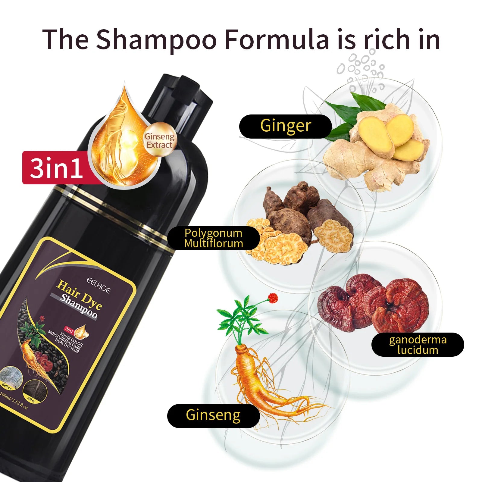 Shampoing 3 en 1 pour teinture capillaire, 100ml/500ml, assombrissant instantané, gris à noir, Polygonum Multiflorum, couverture naturelle pour hommes et femmes